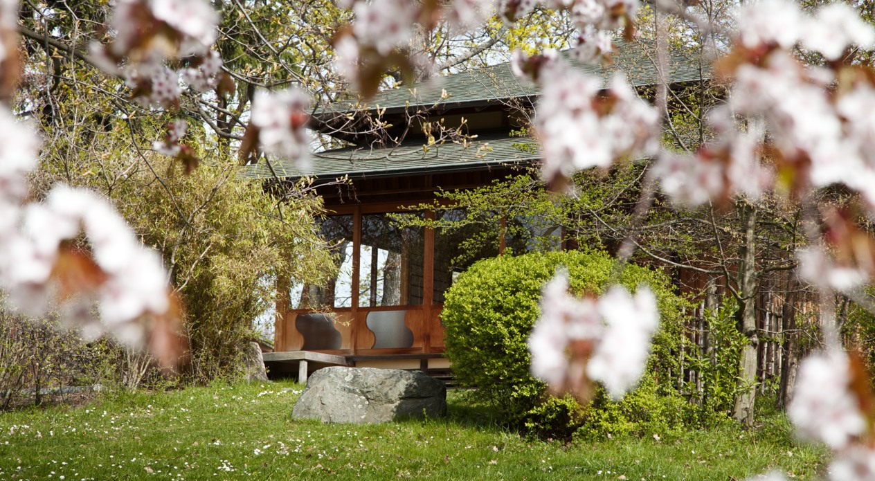 The teahouse at the museum of etnography