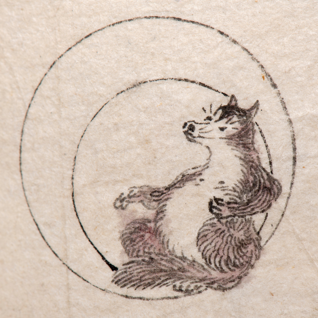 Tanuki from the Yokai exhibition
